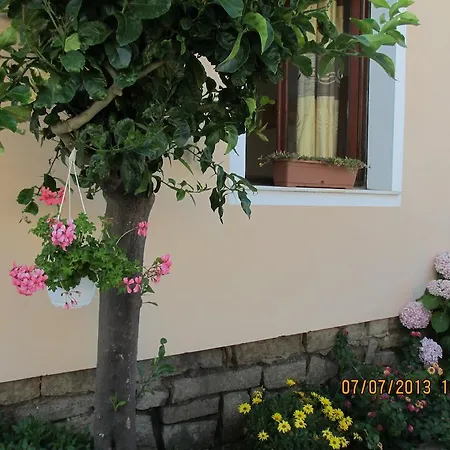 Bed & Breakfast Sol Del Caribe La Maddalena (Sassari)